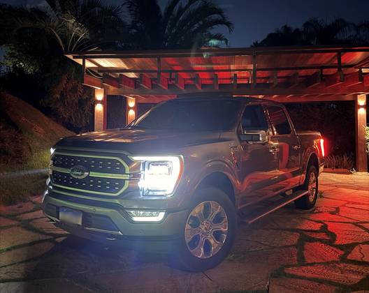 FORD F-150 5.0 V8 GASOLINA CD PLATINUM FX4 AUTOMÁTICO